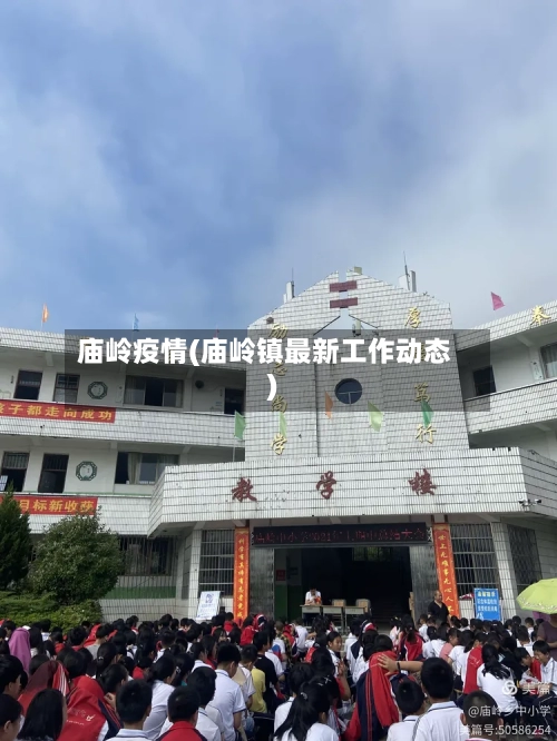 庙岭疫情(庙岭镇最新工作动态)-第2张图片