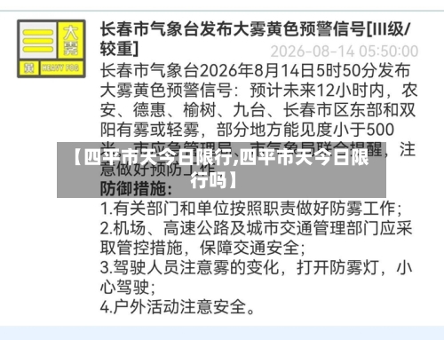 【四平市天今日限行,四平市天今日限行吗】-第3张图片