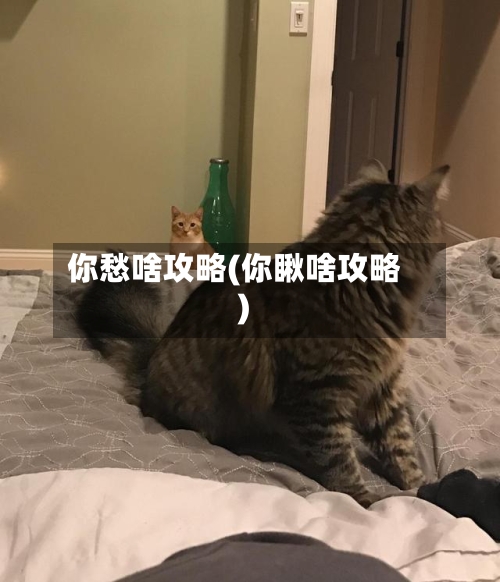 你愁啥攻略(你瞅啥攻略)