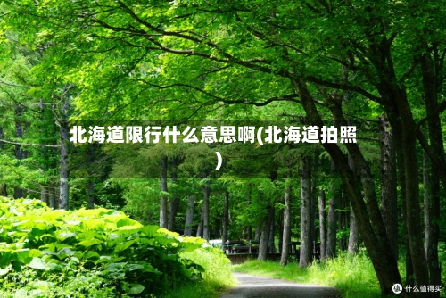 北海道限行什么意思啊(北海道拍照)-第3张图片