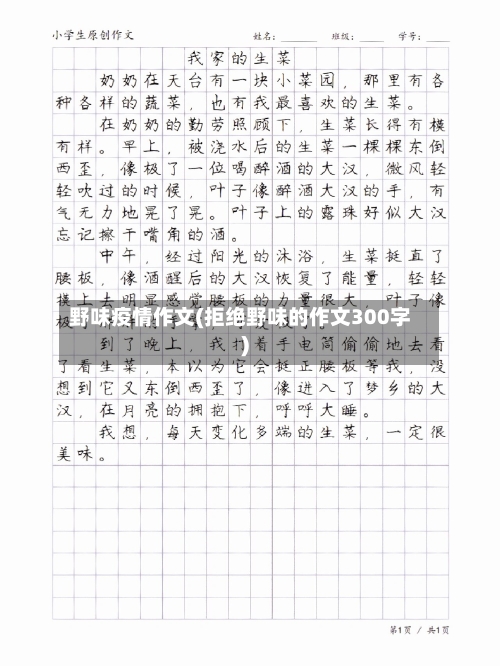 野味疫情作文(拒绝野味的作文300字)