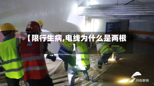 【限行生病,电线为什么是两根】-第3张图片