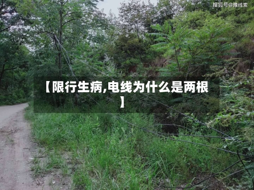 【限行生病,电线为什么是两根】-第2张图片