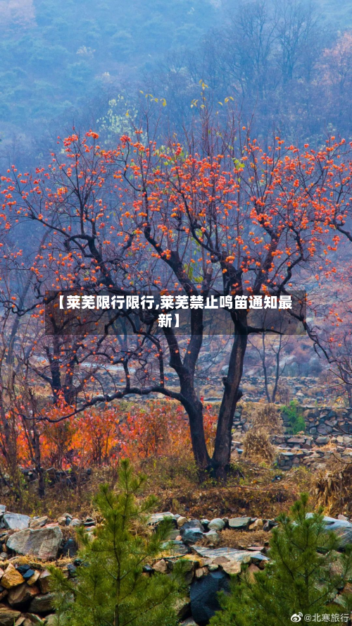 【莱芜限行限行,莱芜禁止鸣笛通知最新】-第2张图片