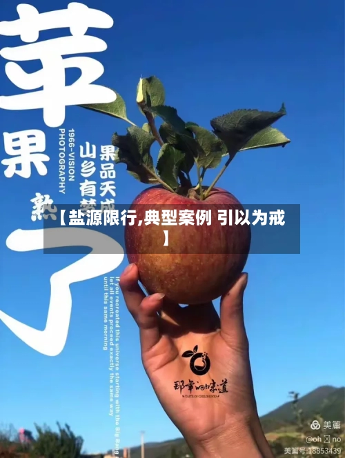 【盐源限行,典型案例 引以为戒】-第3张图片