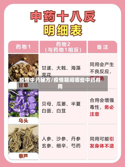 疫情中药秘方/疫情期间哪些中药有用-第3张图片