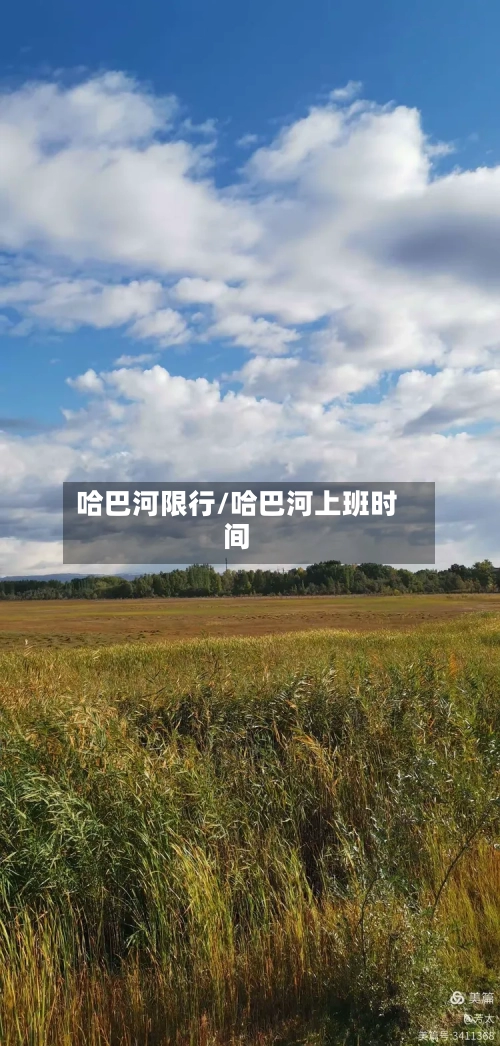 哈巴河限行/哈巴河上班时间