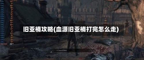 旧亚楠攻略(血源旧亚楠打完怎么走)-第2张图片