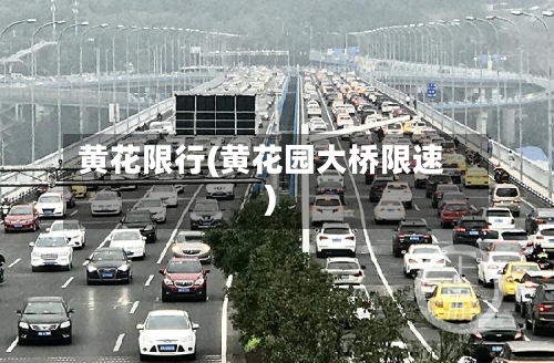 黄花限行(黄花园大桥限速)-第2张图片