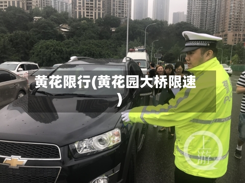 黄花限行(黄花园大桥限速)