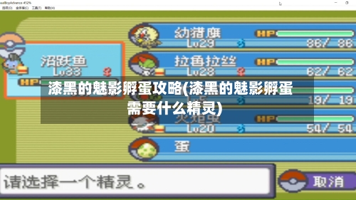 漆黑的魅影孵蛋攻略(漆黑的魅影孵蛋需要什么精灵)-第2张图片