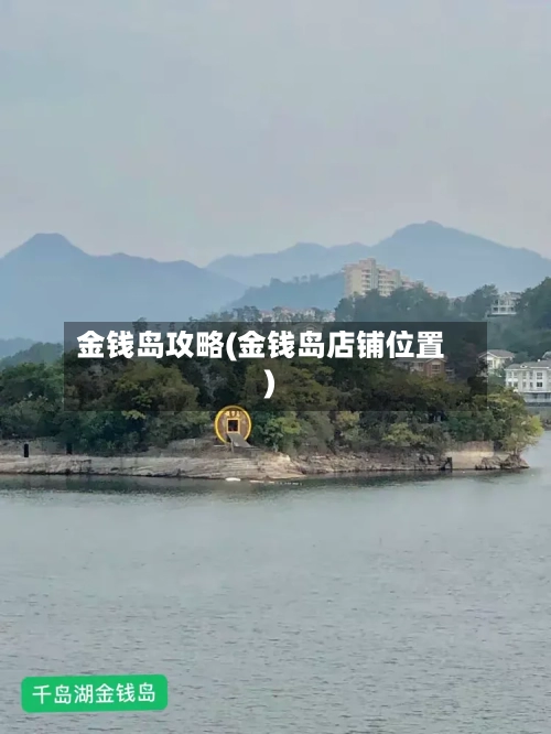金钱岛攻略(金钱岛店铺位置)
