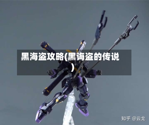 黑海盗攻略(黑诲盗的传说)-第3张图片