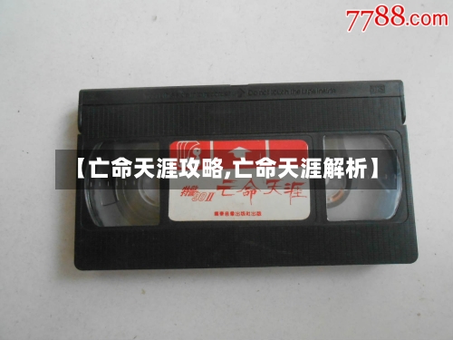 【亡命天涯攻略,亡命天涯解析】-第2张图片