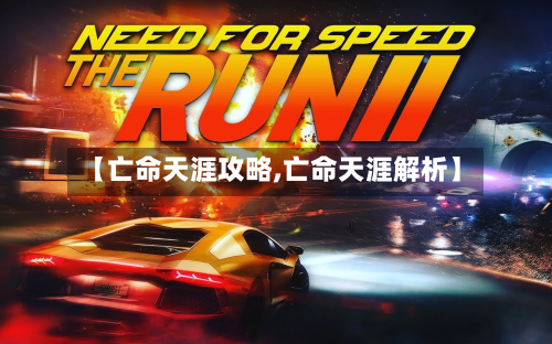 【亡命天涯攻略,亡命天涯解析】-第3张图片