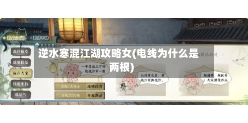 逆水寒混江湖攻略女(电线为什么是两根)-第2张图片