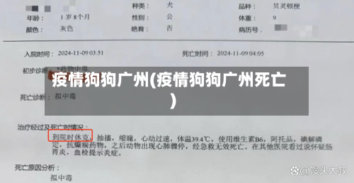 疫情狗狗广州(疫情狗狗广州死亡)