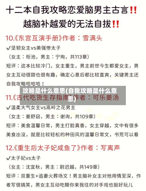 攻略是什么意思(自我攻略是什么意思)-第3张图片
