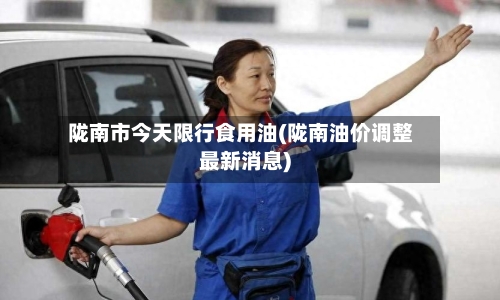 陇南市今天限行食用油(陇南油价调整最新消息)-第2张图片