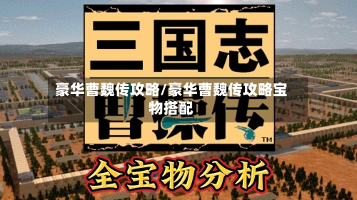豪华曹魏传攻略/豪华曹魏传攻略宝物搭配-第2张图片