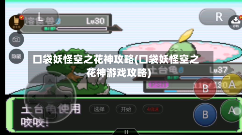 口袋妖怪空之花神攻略(口袋妖怪空之花神游戏攻略)-第3张图片
