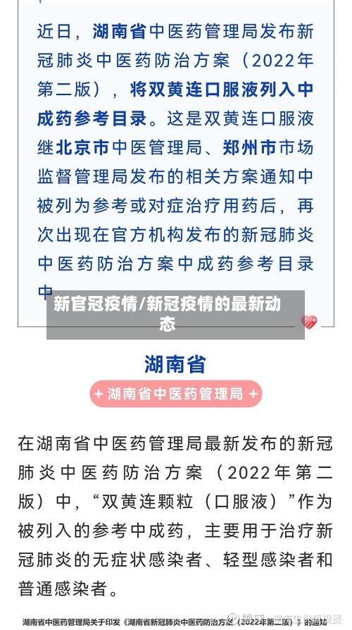 新官冠疫情/新冠疫情的最新动态-第2张图片