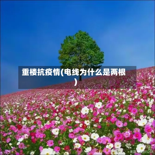 重楼抗疫情(电线为什么是两根)